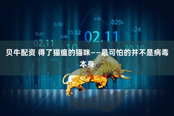 贝牛配资 得了猫瘟的猫咪——最可怕的并不是病毒本身