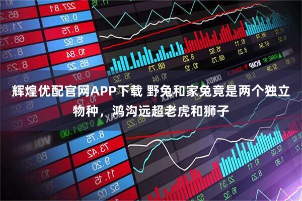 辉煌优配官网APP下载 野兔和家兔竟是两个独立物种，鸿沟远超老虎和狮子